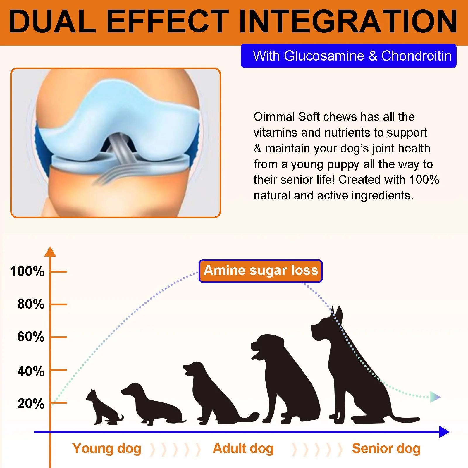 Hip and Joint Supplement for Dogs Glucosamine Joint Pain Relief Treats Chondroitin MSM Supplement Health Mobility Support Chews