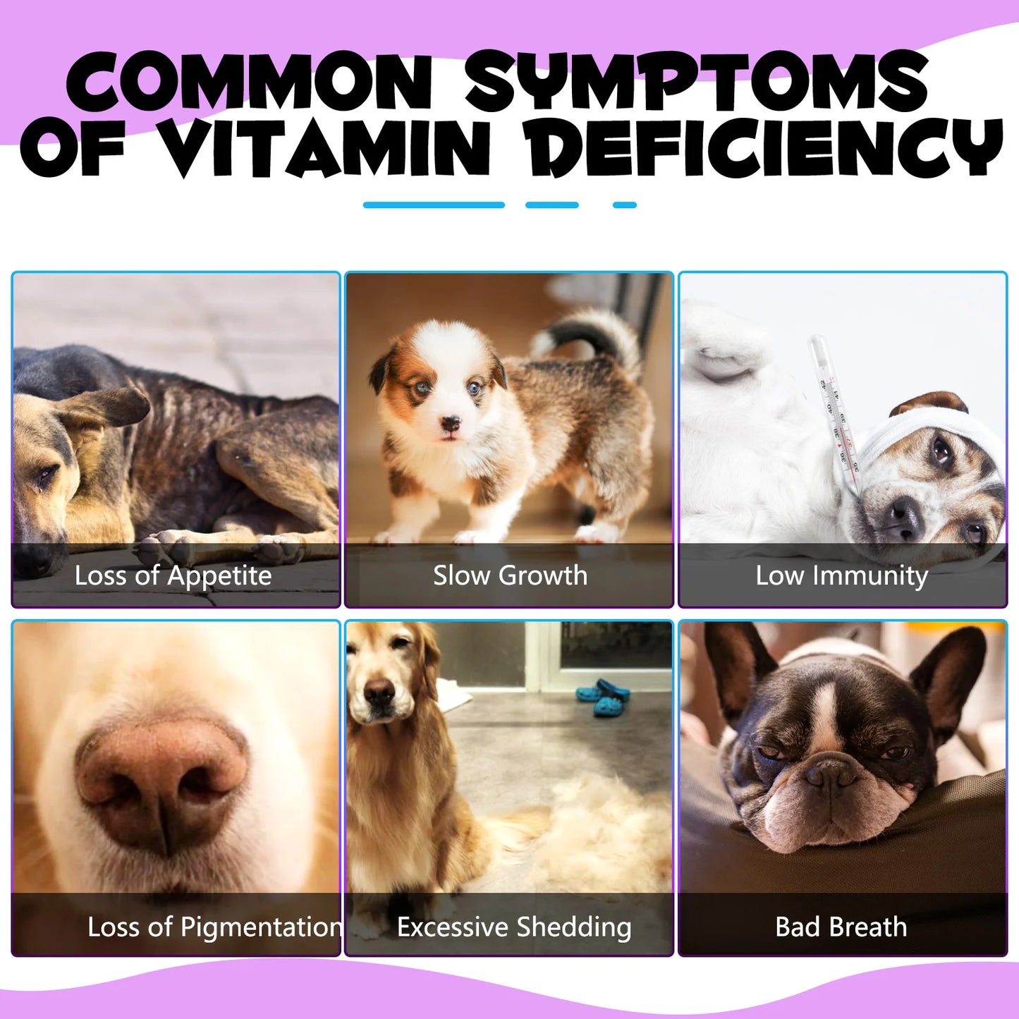 15-in-1 Vitamin Drops for Dogs Nutrients Comprehensive Nutrient Support Skin Coat Joint Bone Heart Immune System Boost Energy