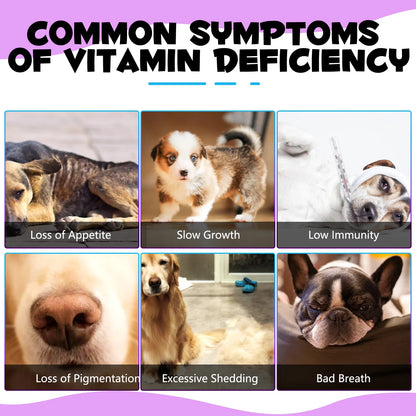 15-in-1 Vitamin Drops for Dogs Nutrients Comprehensive Nutrient Support Skin Coat Joint Bone Heart Immune System Boost Energy