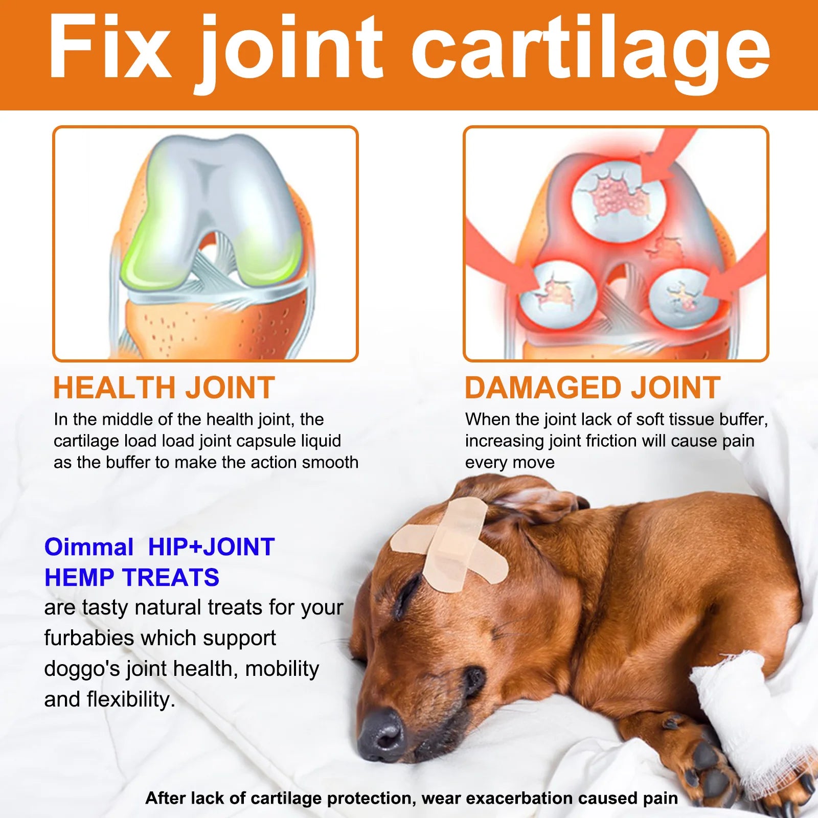 Hip and Joint Supplement with Glucosamine for Dogs 170 Dog Joint Pain Relief Treats Chondroitin MSM Dog Joint Supplement Health