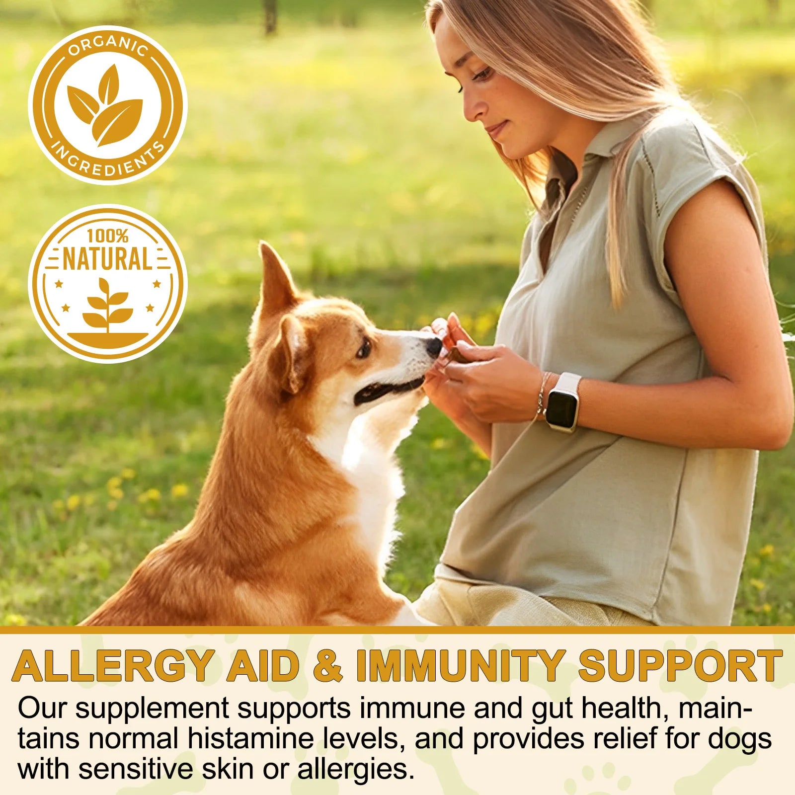 Comprehensive Canine Allergy Aid & Immunity Support for Dog