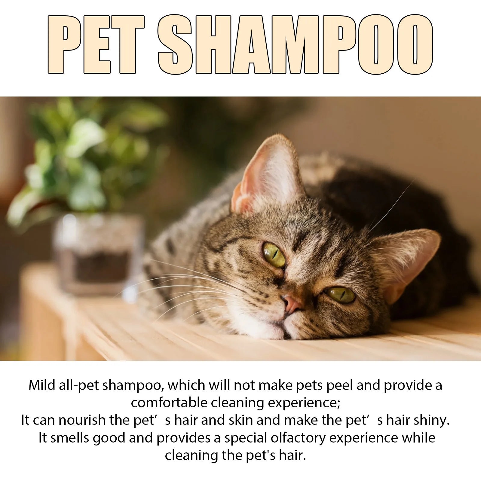 Pet Wash Shampoo Dogs Hair Soften Dirts Mites Removal Flea Killer Deodorizing Reduce Itching Anti Flea Moisturizing Dog Shampoo