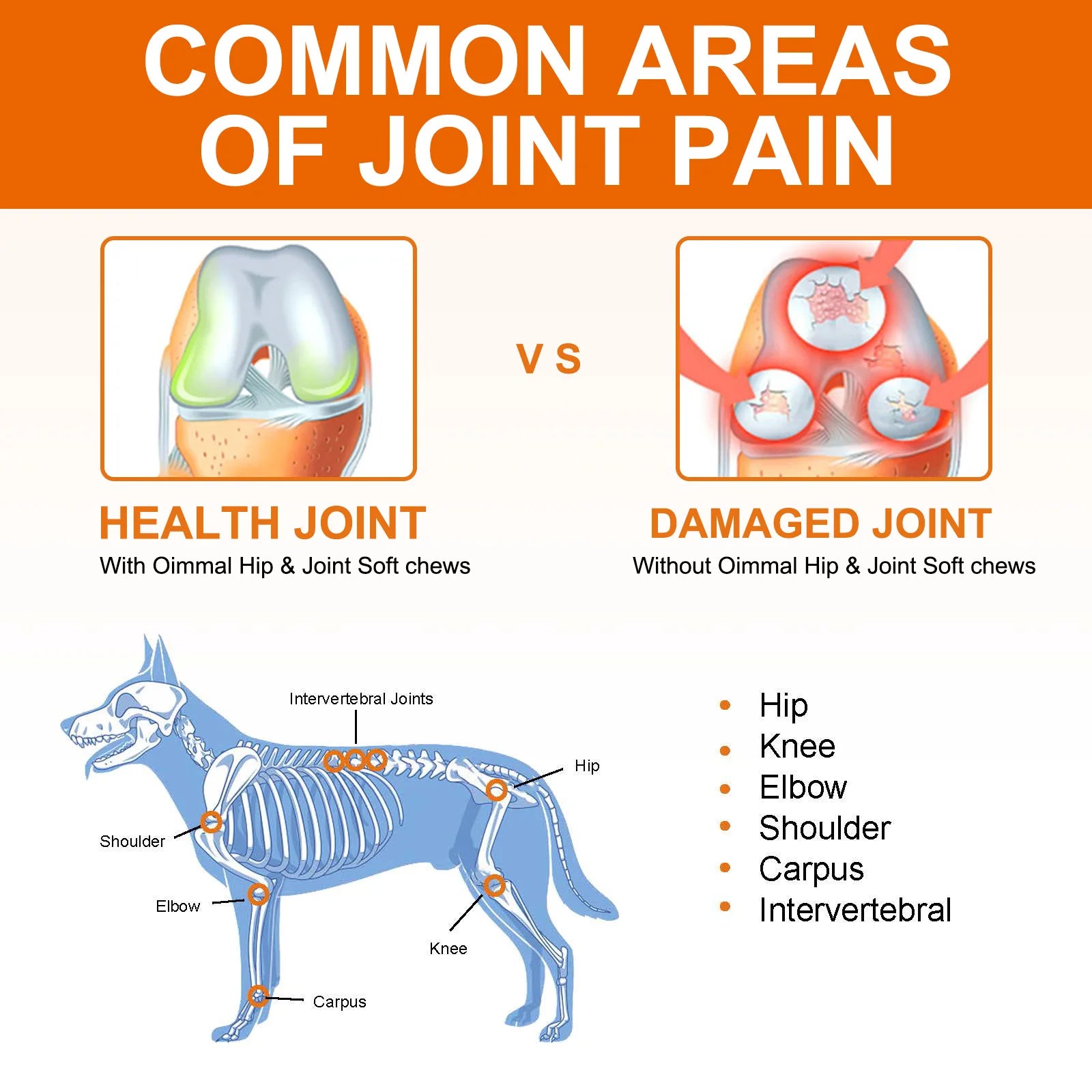 Hip and Joint Supplement with Glucosamine for Dogs 170 Dog Joint Pain Relief Treats Chondroitin MSM Dog Joint Supplement Health