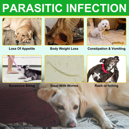 Flea and Tick Prevention 150 pcs Chewables Peking Duck Flavor Supplement for Dogs Oral Flea Pills Pest Defense All Breeds & Ages