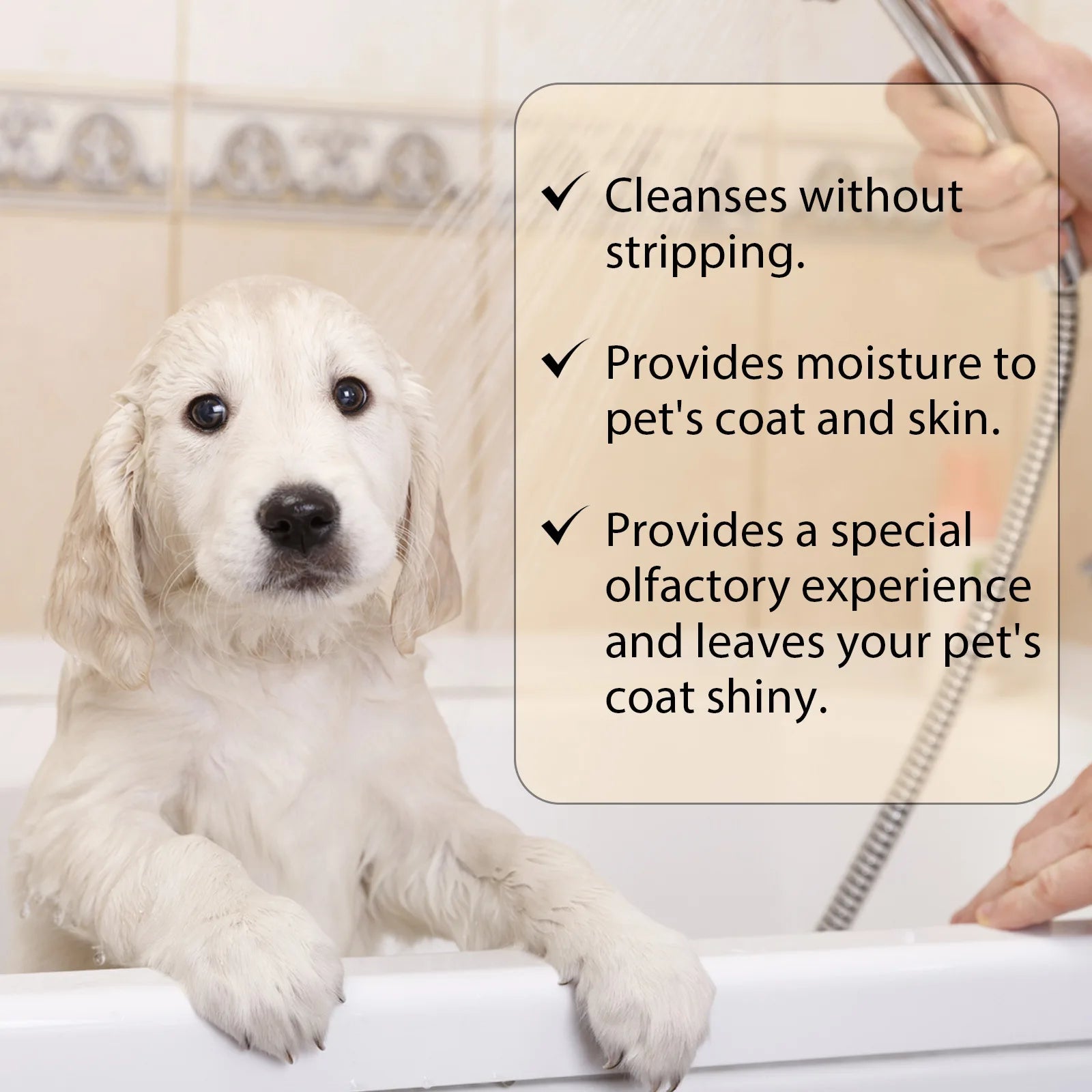 Pet Wash Shampoo Dogs Hair Soften Dirts Mites Removal Flea Killer Deodorizing Reduce Itching Anti Flea Moisturizing Dog Shampoo