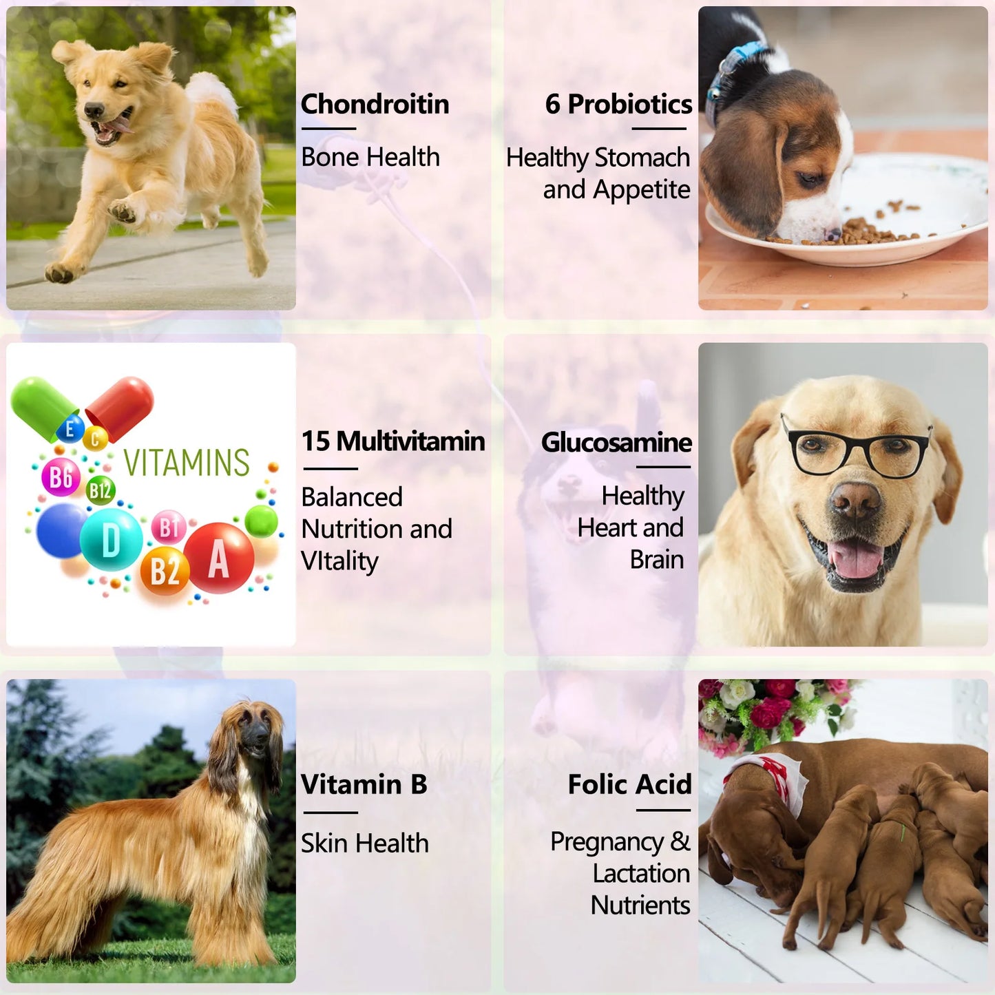 15-in-1 Vitamin Drops for Dogs Nutrients Comprehensive Nutrient Support Skin Coat Joint Bone Heart Immune System Boost Energy