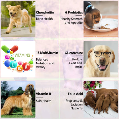 15-in-1 Vitamin Drops for Dogs Nutrients Comprehensive Nutrient Support Skin Coat Joint Bone Heart Immune System Boost Energy