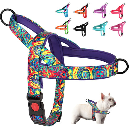 Colorful printed dog harness with adjustable straps for a secure fit