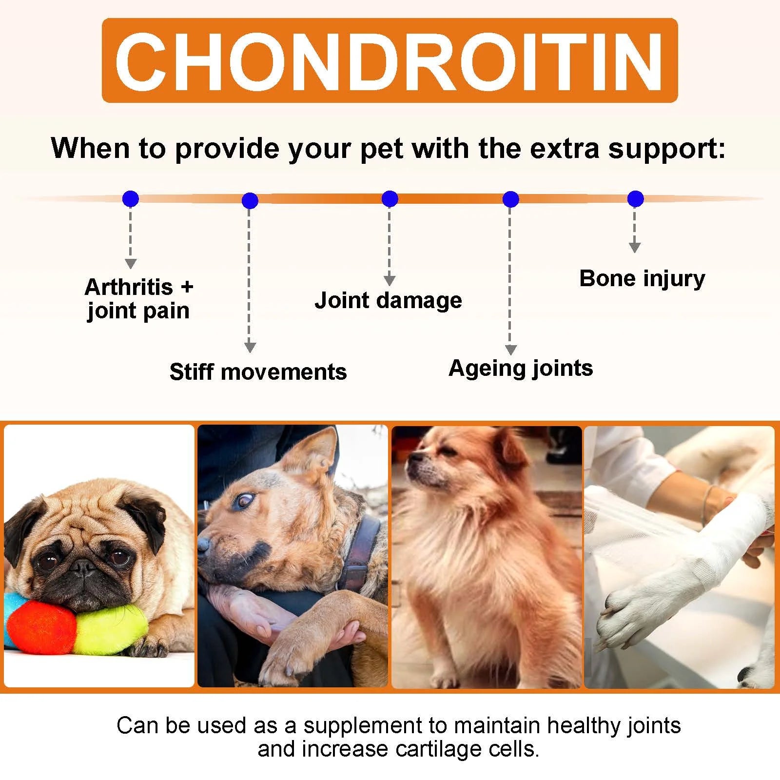 Hip and Joint Supplement for Dogs Glucosamine Joint Pain Relief Treats Chondroitin MSM Supplement Health Mobility Support Chews