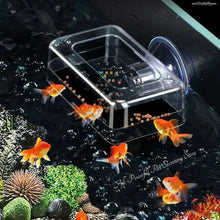 Aquarium fish tank with floating feeder and decorative plants for easy fish feeding