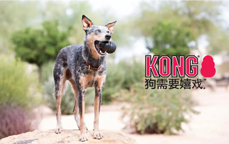 S-XXL KONGエクストリーム犬用おもちゃ（お好みの犬用おやつ付き） 
