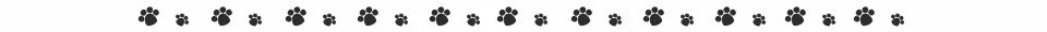 Underpad for Dogs Cooling Mats Urine Diaper Mat Waterproof Reusable Training Pad Dog Car breathable Dog Bed пеленки для собак