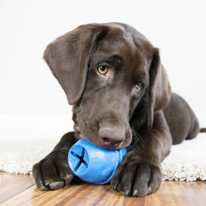 S-Size KONG Genius Leo Dog Toy, Color Varies