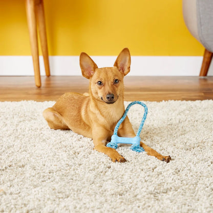 KONG KP51 Puppy Goodie Bone with Rope (XS) Red/Pink/Blue