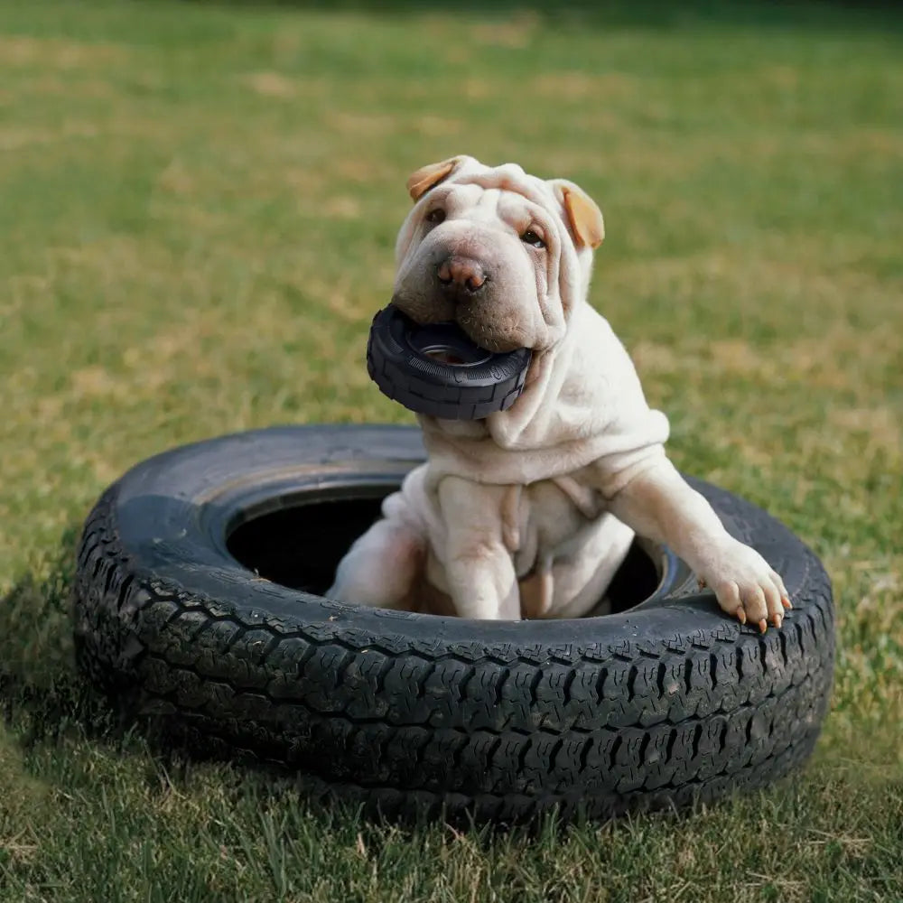 M/L-Size KONG Tires Dog Toy