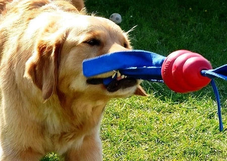 KONG Classic Tails Dog Toy
