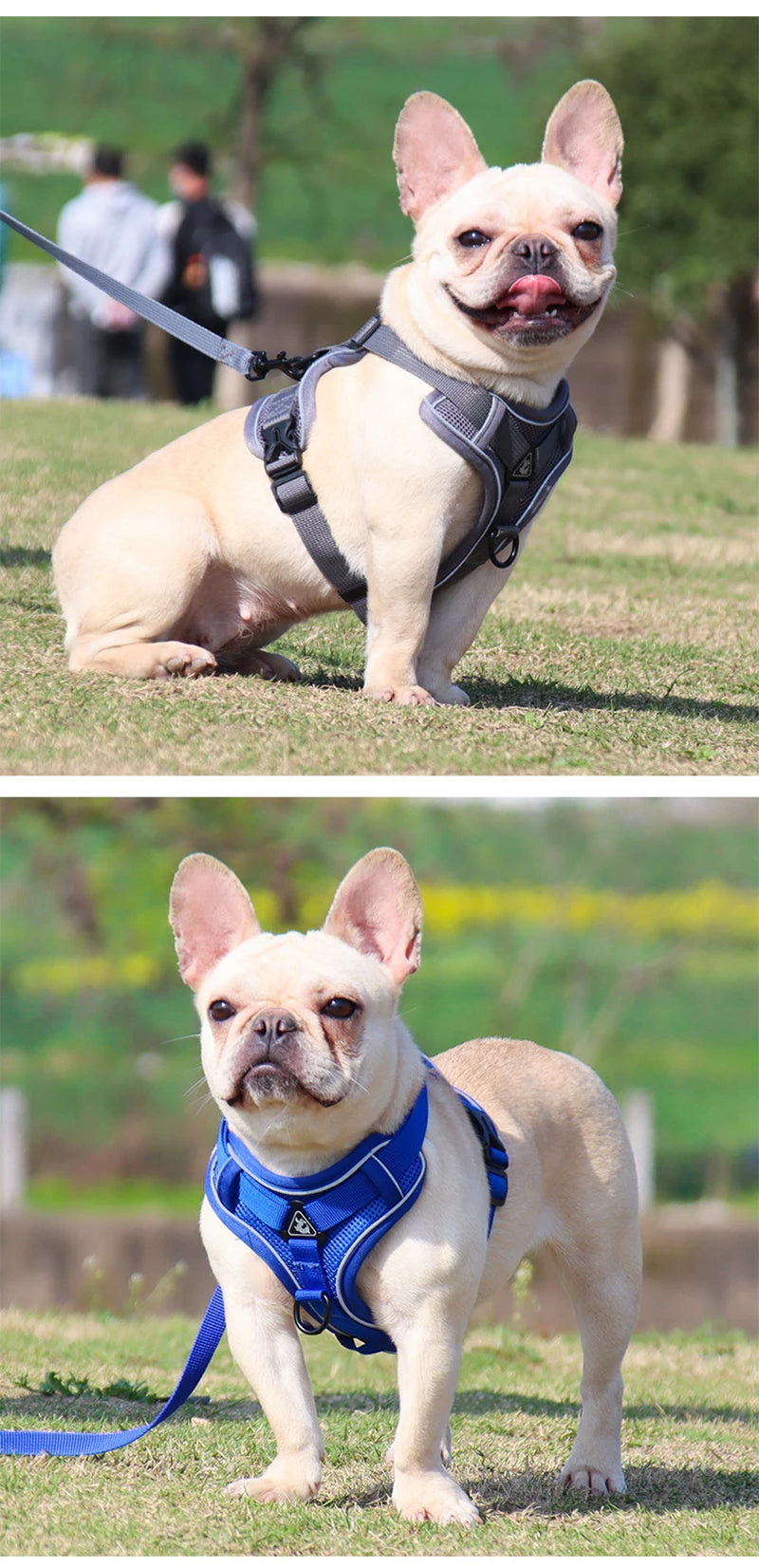 Dog Harness Leash Set Adjustable Pet Harness Vest For Small Large Dog Cat Reflective Mesh Puppy Cat Chest Strap Dog Accessories