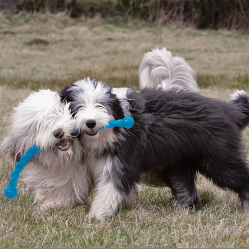 S Size KONG Safestix Dog Toy, Color Varies