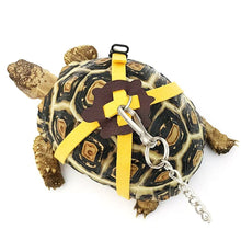Adjustable PU Leather Pet Turtle Tortoise Reptile Lizard Harness Leash Strap Lead Control Rope Traction Belt for Walking Outdoor