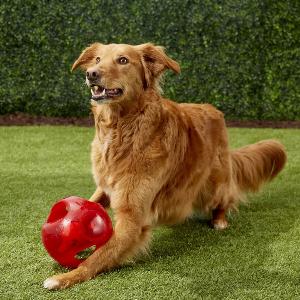 M/L Size KONG Jumbler Ball/Football Dog Toy, Color Varies