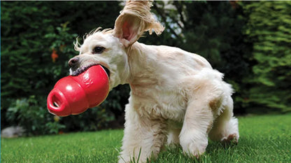 L-Size KONG Bounzer Dog Toy