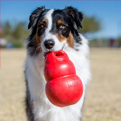 L-Size KONG Bounzer Dog Toy