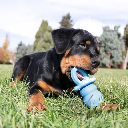 KONG Puppy Binkie Color Varies S/M