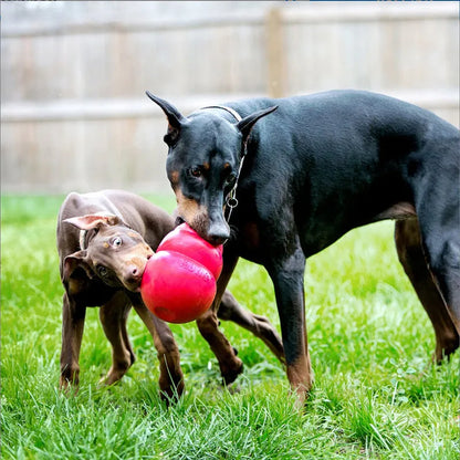 L-Size KONG Bounzer Dog Toy