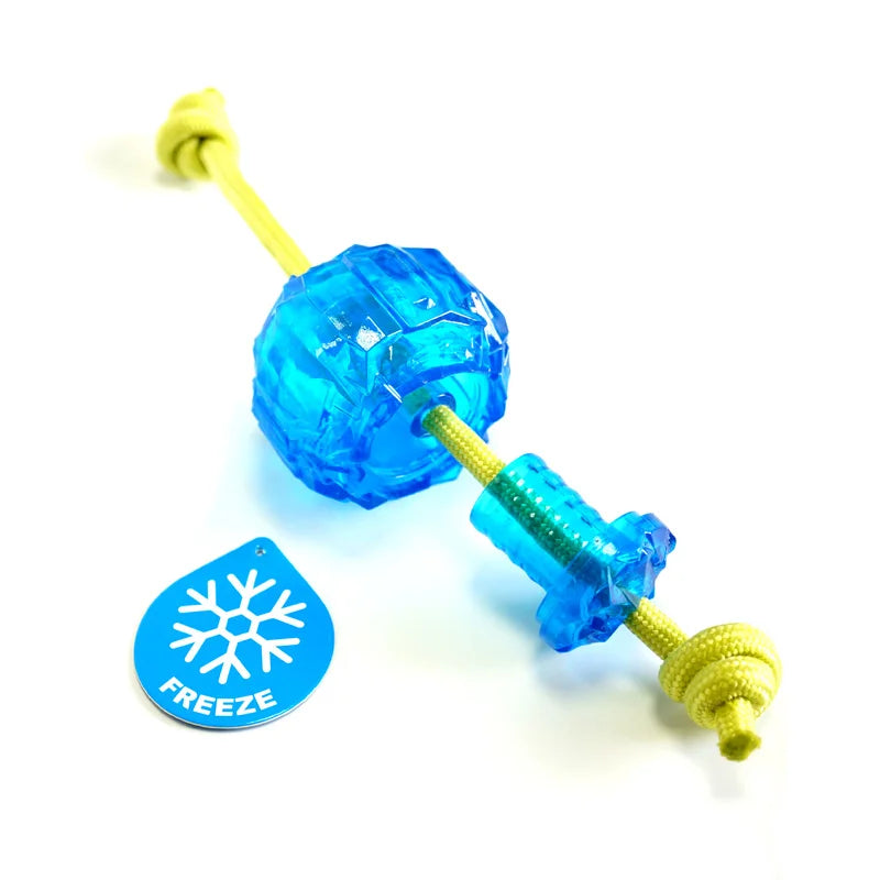 CAITEC Dog Toys Ice Ball Fill Water into the Ball and Put it in the Refrigerator then it Becomes Ice Ball after Freezing