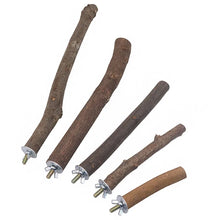 1 件 10-30 公分寵物鸚鵡原木叉樹枝架玩具倉鼠樹枝棲木適用於鳥籠