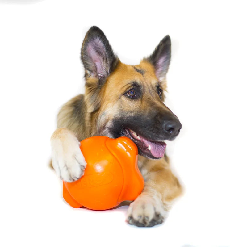 CAITEC Dog Toys Squeaking Ball Soft Floatable Springy Suitable for Tossing Chasing 4 Sizes for Small to Large Dogs