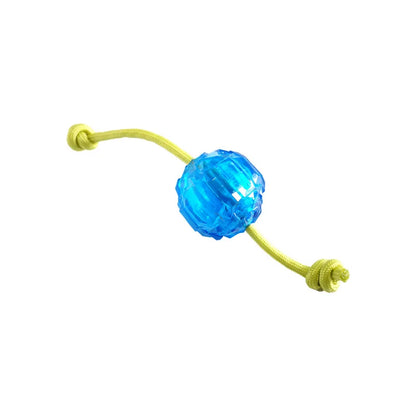 CAITEC Dog Toys Ice Ball Fill Water into the Ball and Put it in the Refrigerator then it Becomes Ice Ball after Freezing