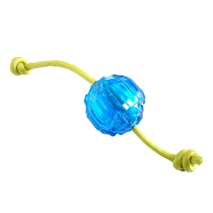 CAITEC Dog Toys Ice Ball Fill Water into the Ball and Put it in the Refrigerator then it Becomes Ice Ball after Freezing