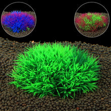 1 件塑膠水族箱植物 3 種顏色人造植物 奇妙魚植物配件 水族箱裝飾