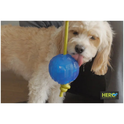 CAITEC Dog Toys Ice Ball Fill Water into the Ball and Put it in the Refrigerator then it Becomes Ice Ball after Freezing