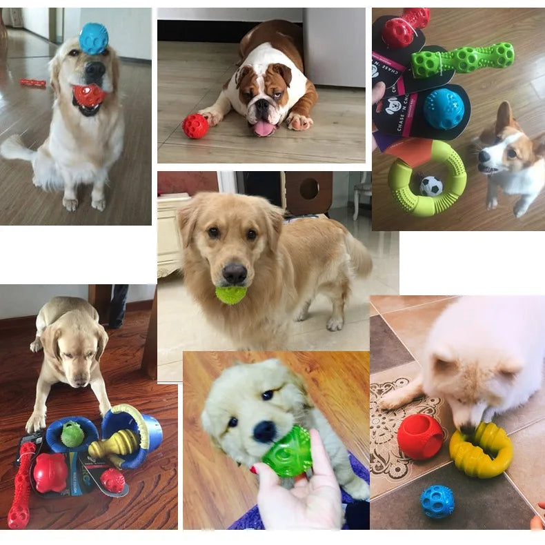 CAITEC Dog Toys Squeaking Dumbbell Durable Floatable Springy Great for Tossing and Chasing 2 Sizes Bite Resistant Toy
