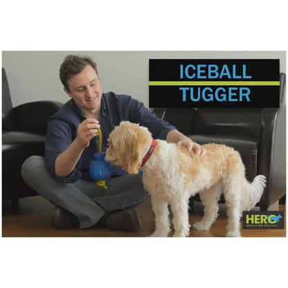CAITEC Dog Toys Ice Ball Fill Water into the Ball and Put it in the Refrigerator then it Becomes Ice Ball after Freezing
