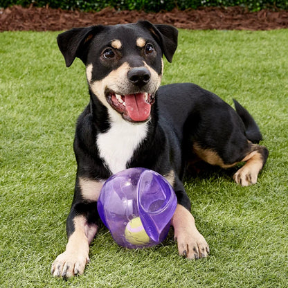 M/L Size KONG Jumbler Ball/Football Dog Toy, Color Varies