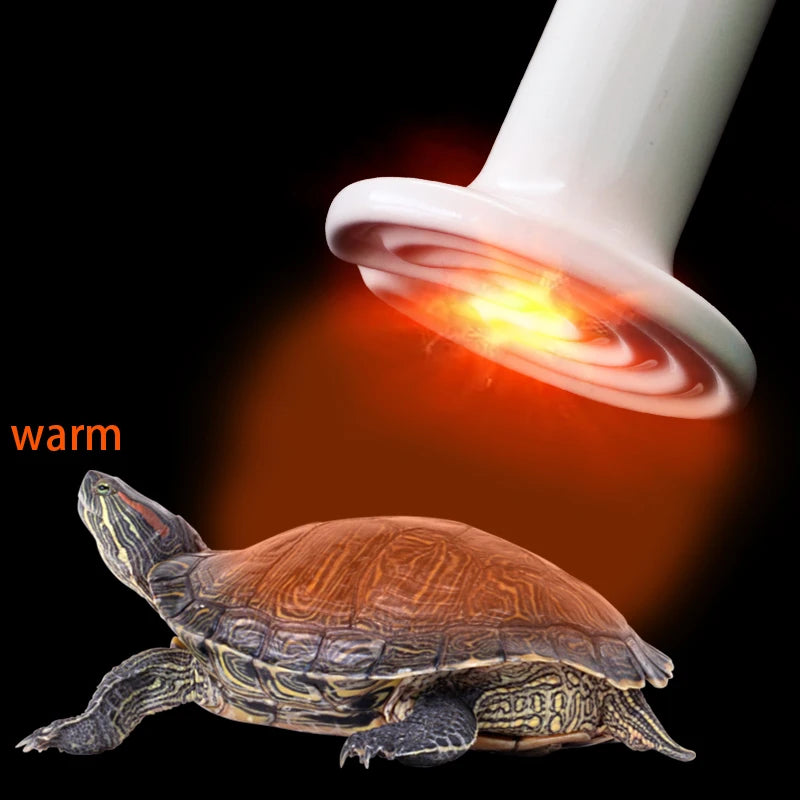 Far Infrared Pet Heating Lamp Ceramic 220V Reptile Turtle Brooder Bulb Heat Emitter Light Bulb 25W 50W 75W 100W 150W 200W