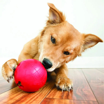 S-Size KONG Classic Biscuit Ball Dog Toy