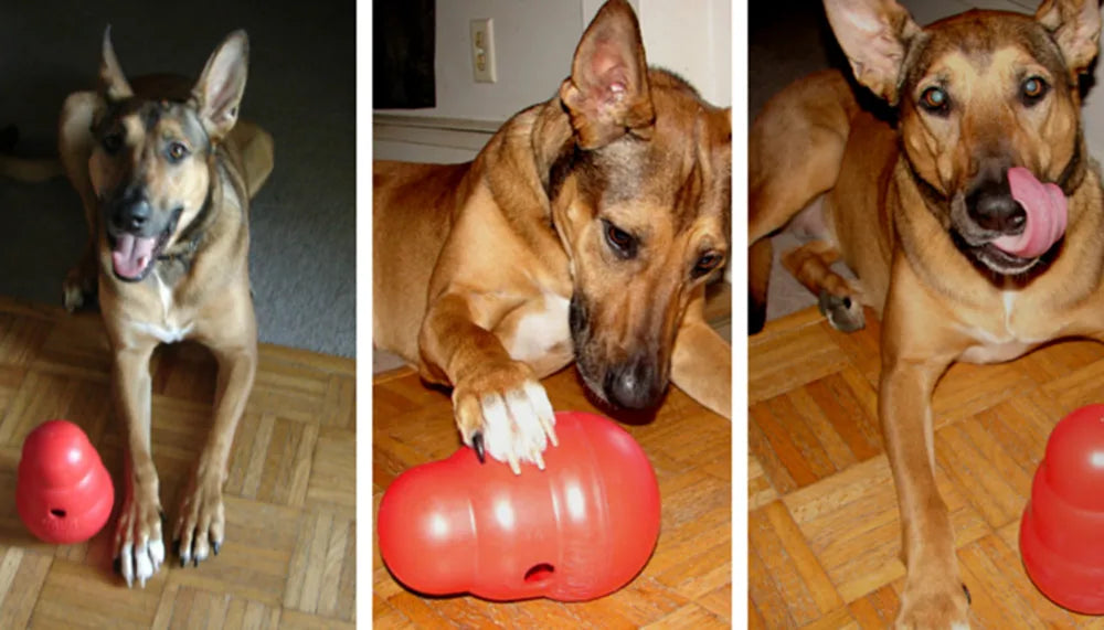 KONG Wobbler Dog Toy S Size
