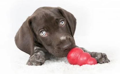 S-Size KONG Dog Chew Toy Classic Collection Up to 20lbs(9kg)
