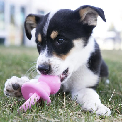 KONG Puppy Binkie Color Varies S/M