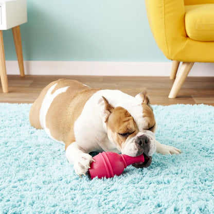 S-Size KONG Genius Leo Dog Toy, Color Varies