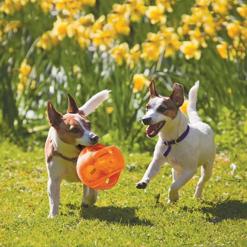 M/L Size KONG Jumbler Ball/Football Dog Toy, Color Varies
