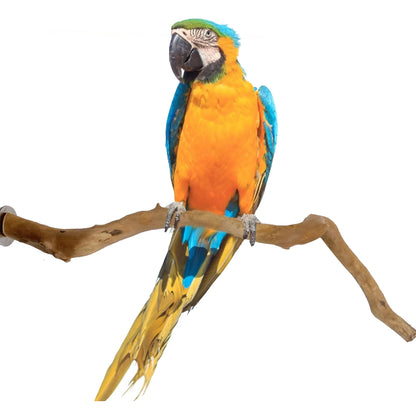Bird Perch Pet Parrot Birds Standing Stick Birds Toys Natural Wooden Bird Cage Perch Bite Claw Playing For Parrot Cage Toy