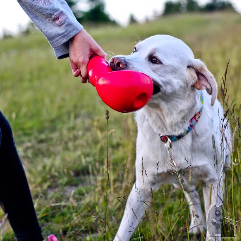 L-Size KONG Bounzer Dog Toy