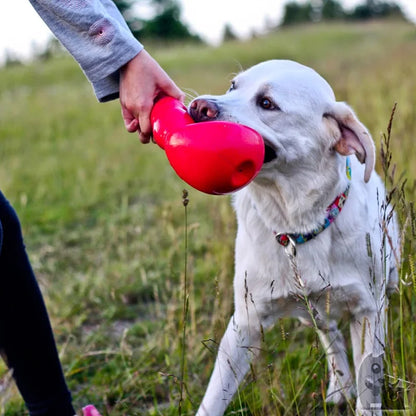 L-Size KONG Bounzer Dog Toy