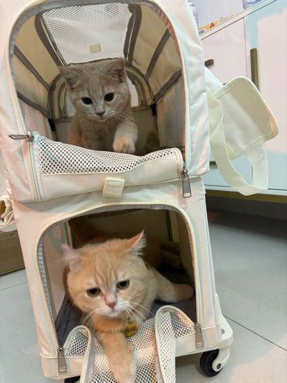 High Aesthetic Pet Trolley Box 2-layers Design Cat Basket Breathable Comfortable Transport Case Convenient Travel Pet Trolley