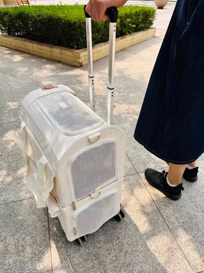 High Aesthetic Pet Trolley Box 2-layers Design Cat Basket Breathable Comfortable Transport Case Convenient Travel Pet Trolley